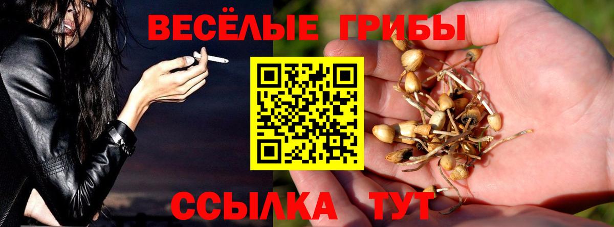 Галлюциногенные грибы GOLDEN TEACHER  Псилоцибиновые грибы MAGIC MUSHROOMS  Саяногорск  Вход с VPN 